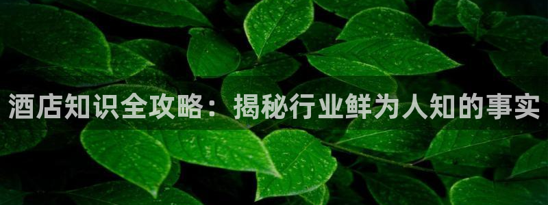 凯发真人网址