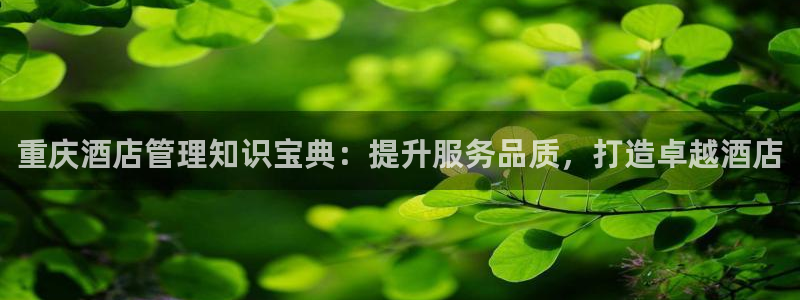 凯发k8官方旗舰店app