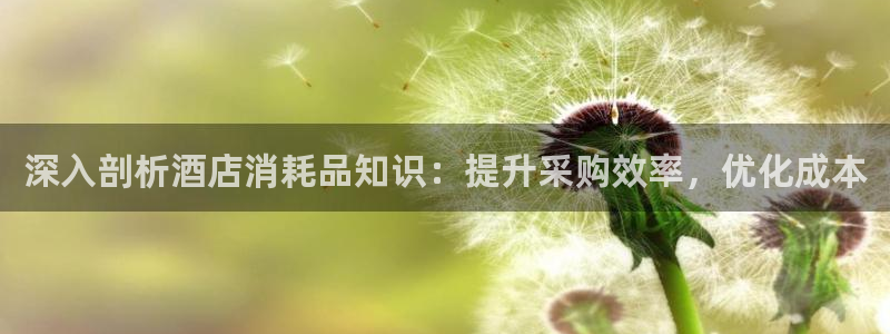 凯发品牌介绍