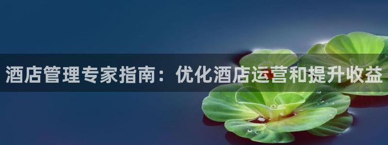 百家乐凯发k8