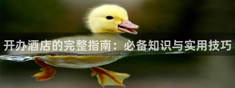 天生赢家K8