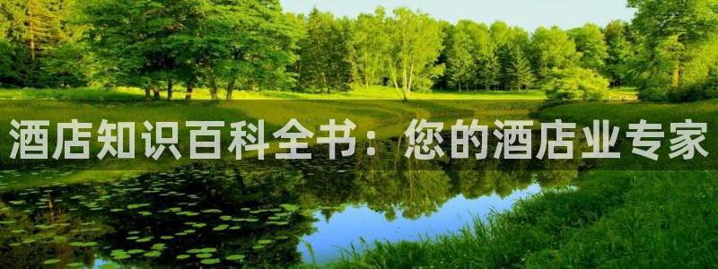凯发网娱乐官网登录
