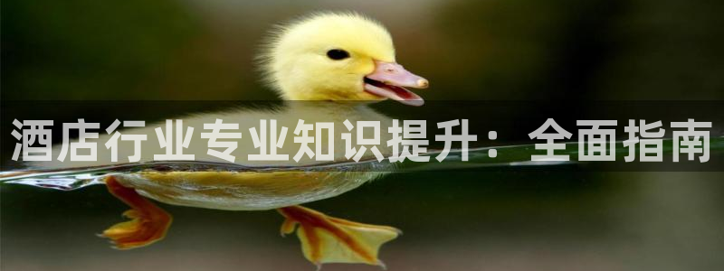 凯发真人k8